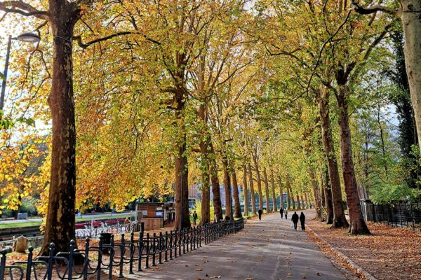 Espaces verts à Lille 