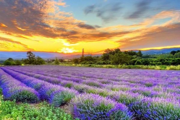 Exploration de Bonnieux