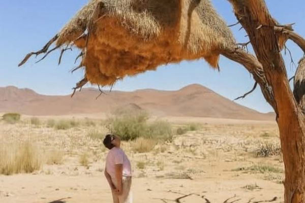 Faune et flore exceptionnelles