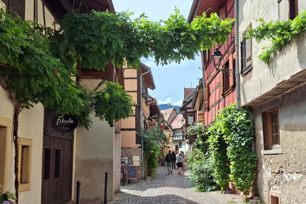 Hébergement et séjour