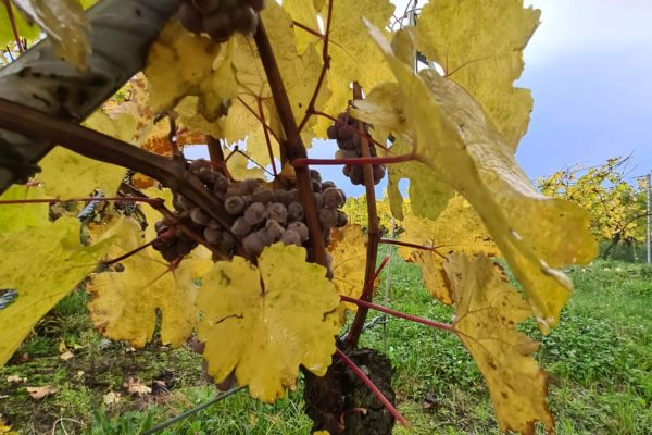 Le charme des saisons