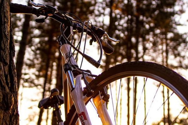 Le circuit montagneux de La Rhune