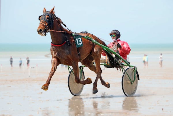 Les activités de loisirs et sports