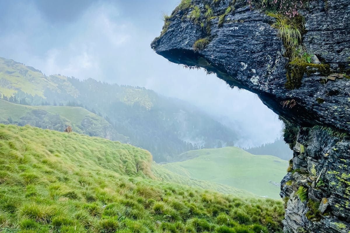 Champagne caves collines dorées