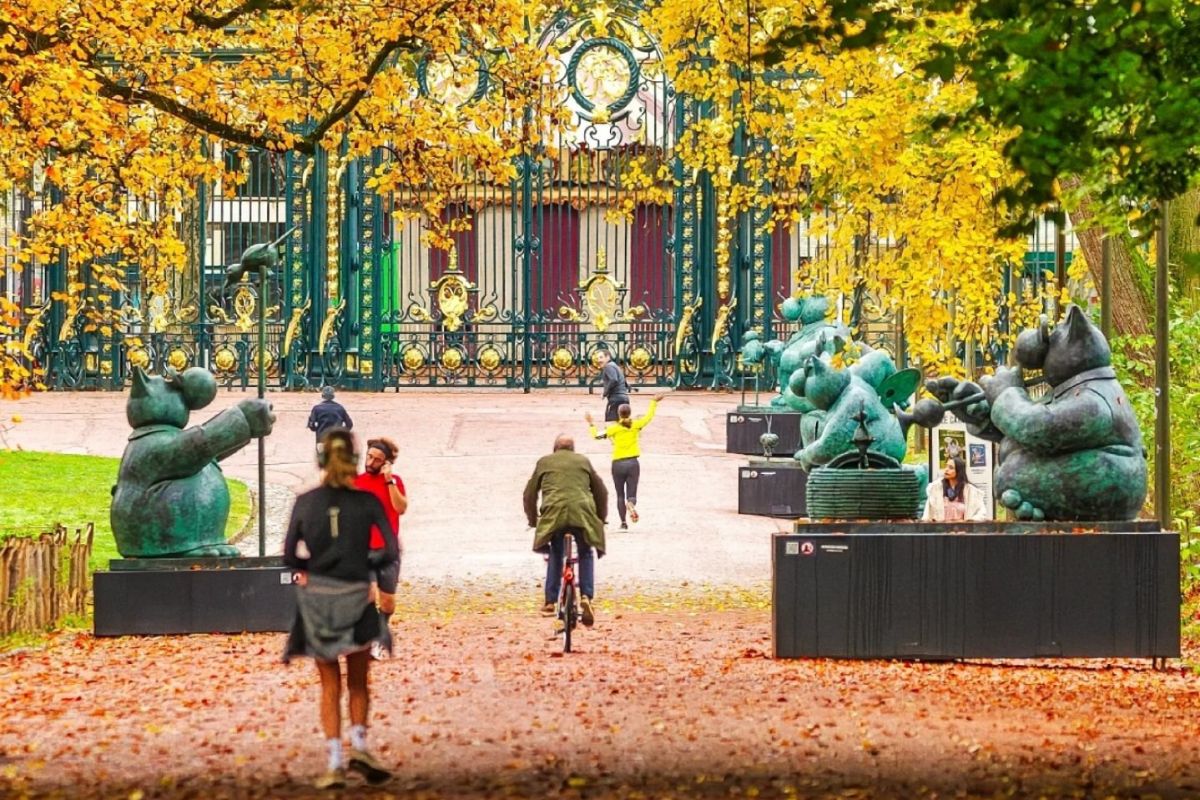 Passer un automne parfait à Lyon