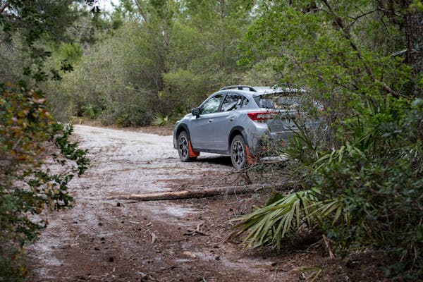 Piana calanques en Corse