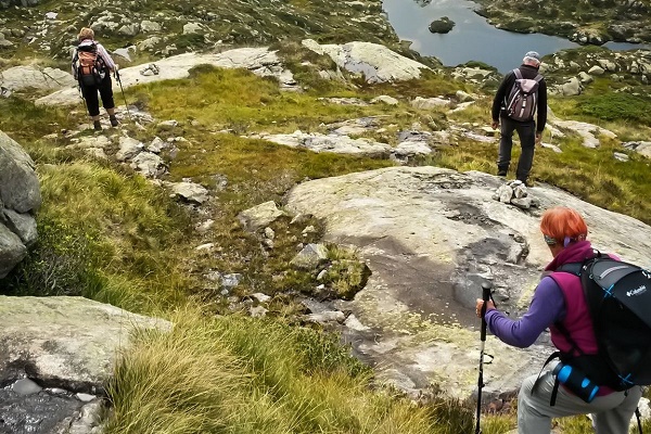 Activités en forêt et observation de la faune