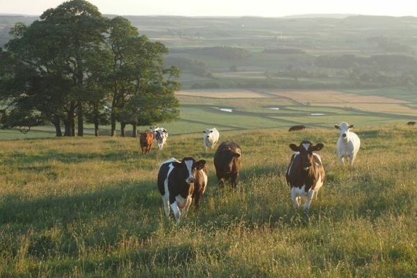 Tourisme responsable