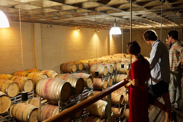 Visite des caves et dégustation de vins