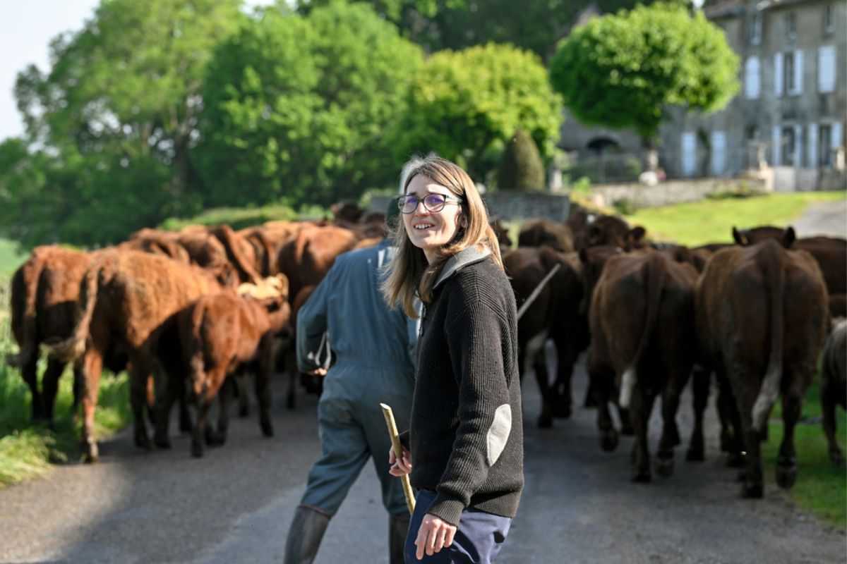 ferme du Cantal