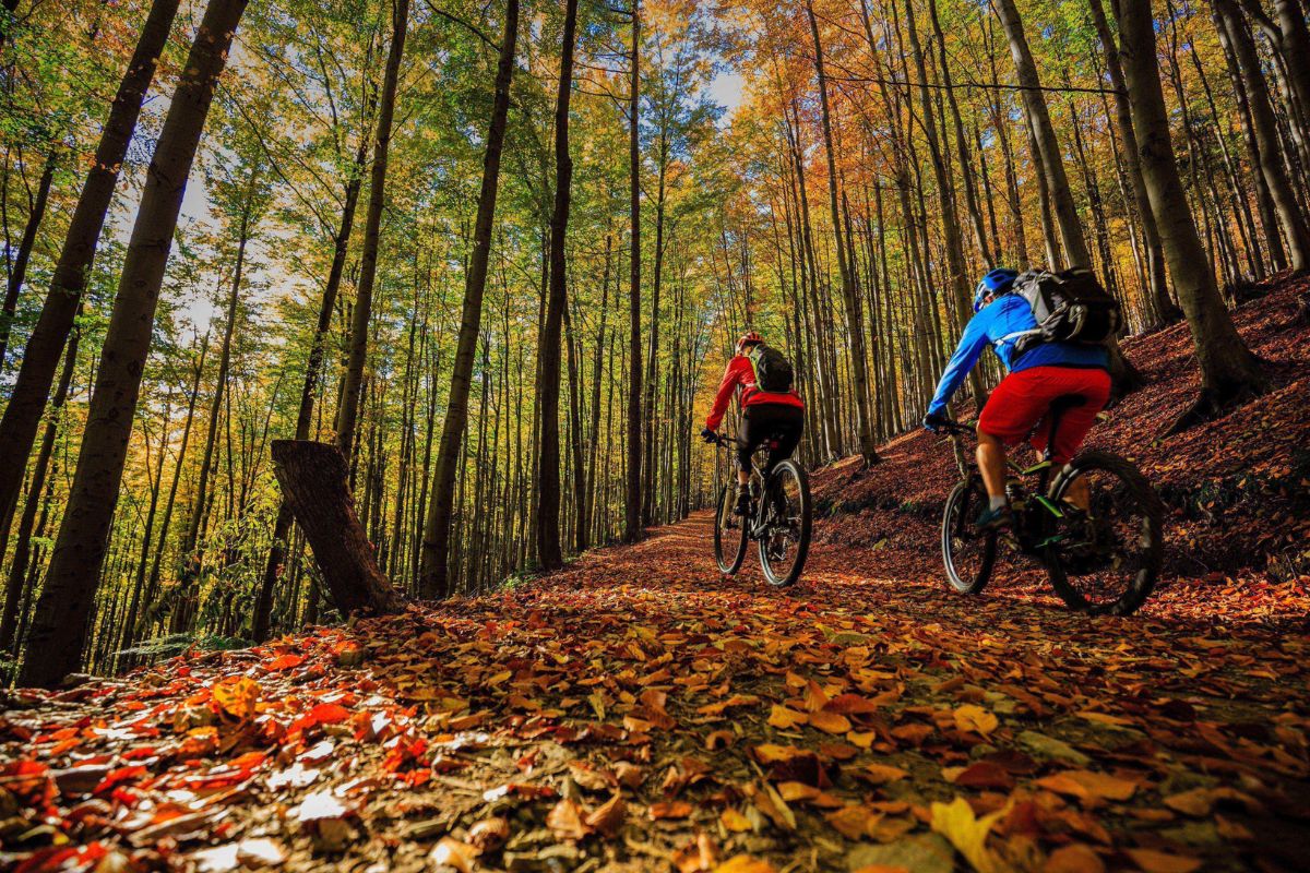 itinéraires Côte basque en vélo