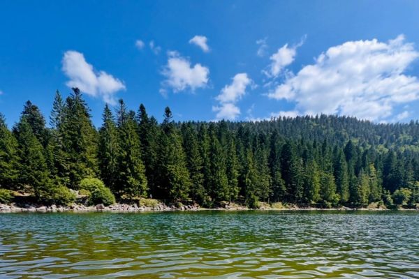 lacs dans les Vosges