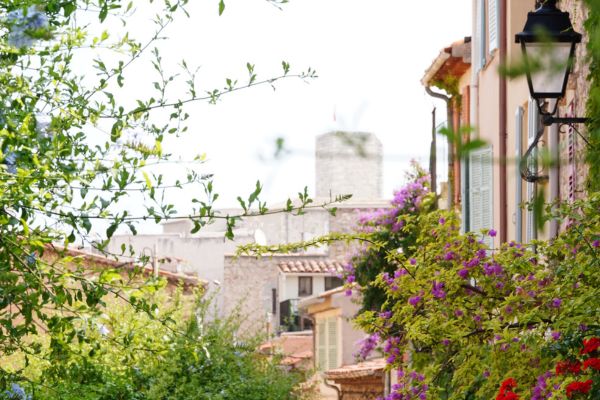 panoramas du massif vosgien au coucher du soleil