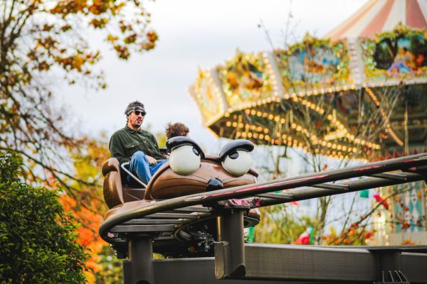 respirer l’air pur des Vosges activite