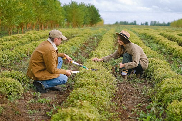 sol vivant et pratiques agroécologiques
