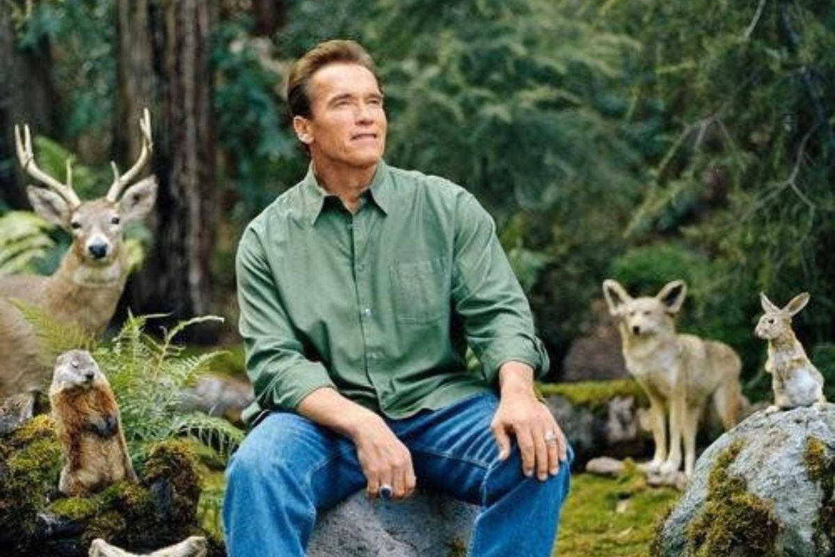 week-end nature dans les Vosges