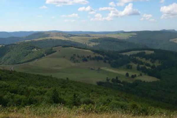 Flore et faune exceptionnelles