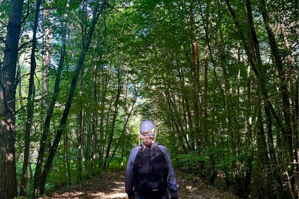 Forêt de Fontainebleau