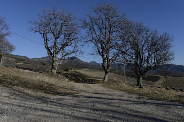 Les Baronnies Provençales