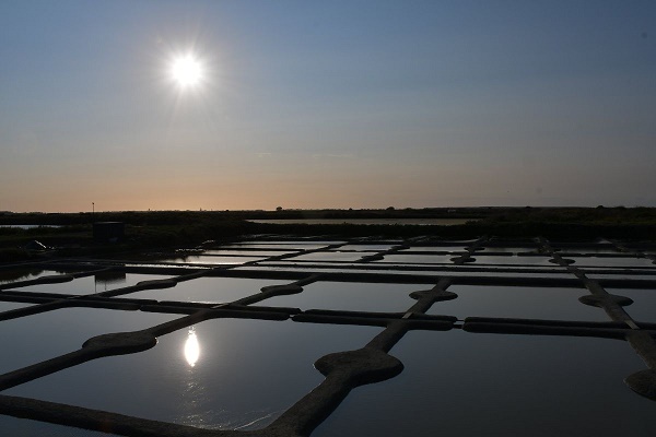 Marais salant de Mesquer