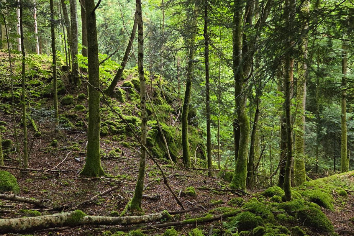 adresses en France pour réinventer sa façon de vivre