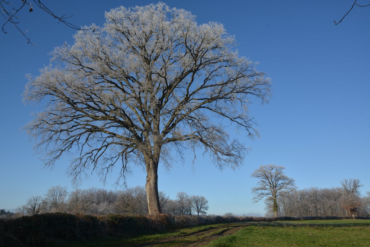 destinations locales Hauts-de-France