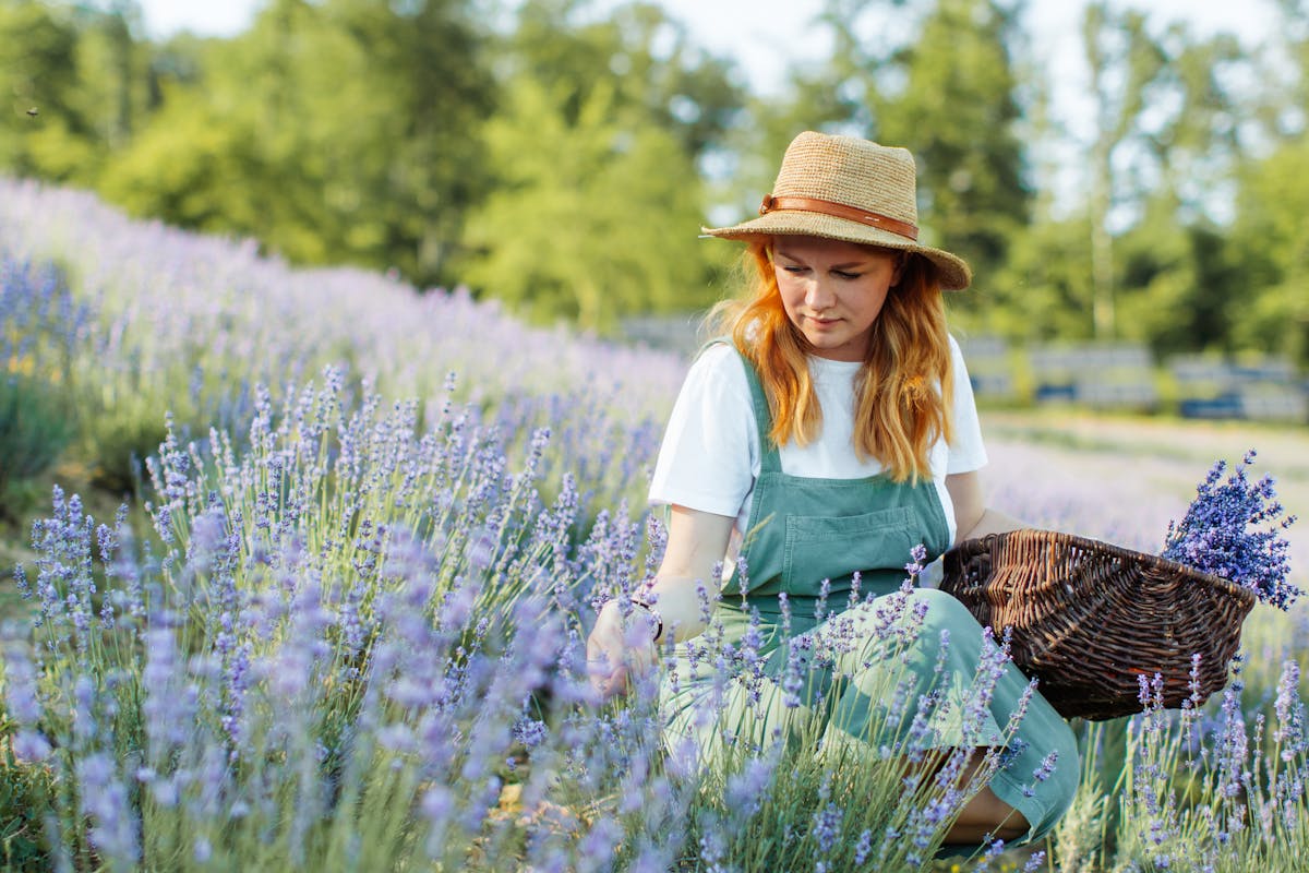 destinations rurales en France
