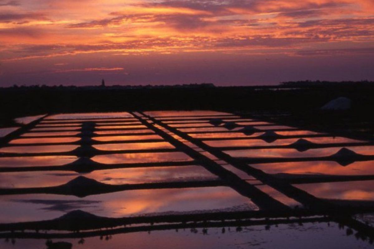 marais salants de Guérande