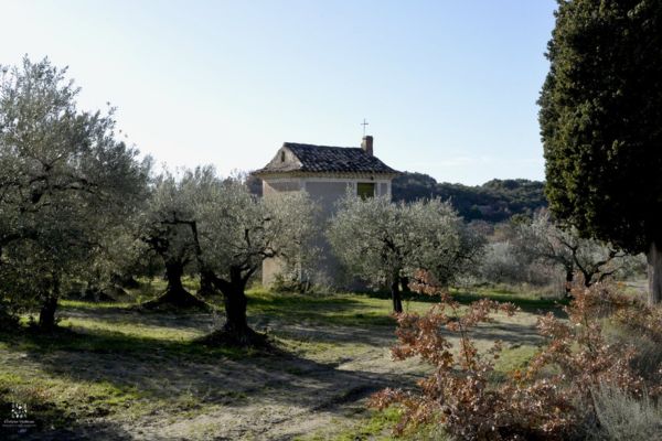 Baronnies provençales