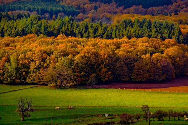 Parc naturel régional du Morvan