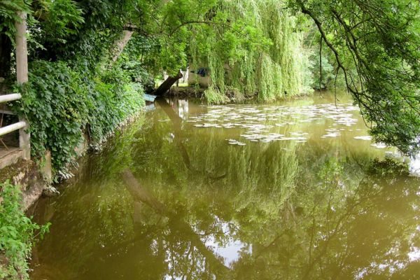 bords de la Seiche