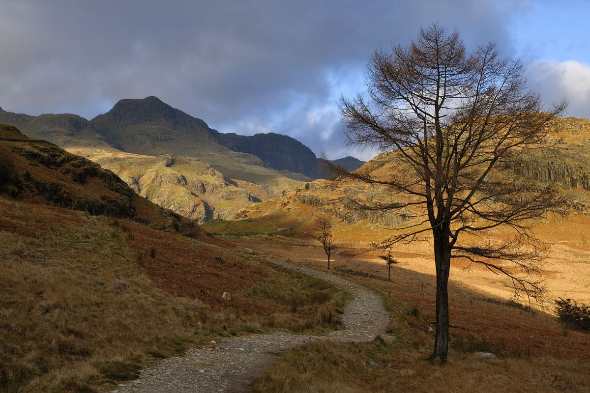 coins nature Tarn