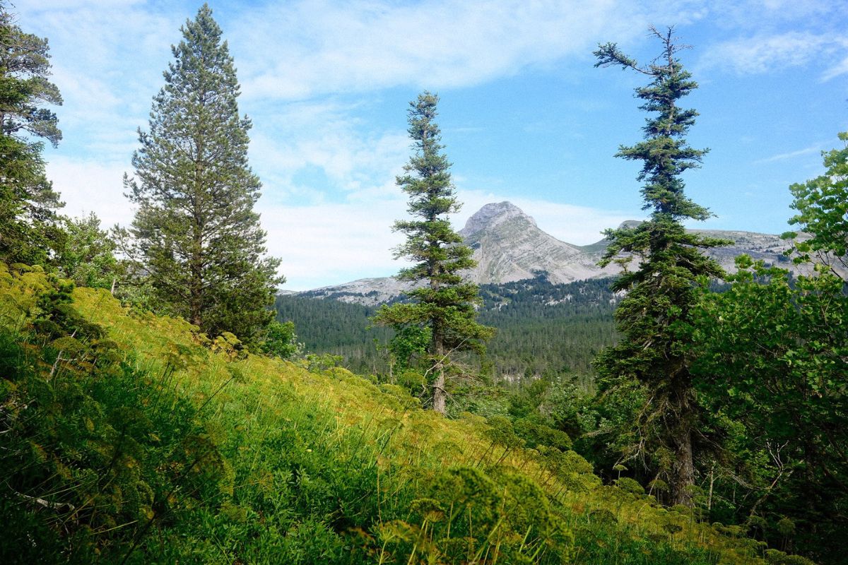 coins nature Vercors