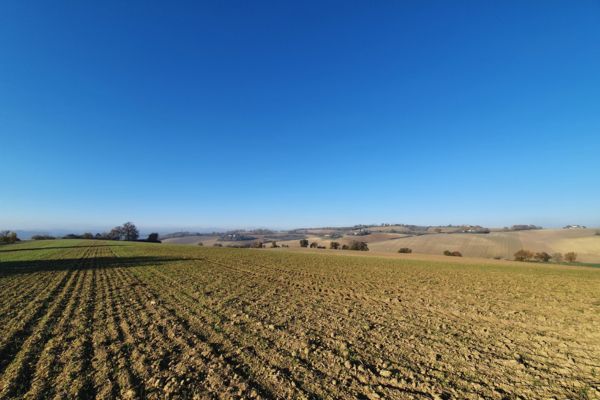 collines du Lauragais tarnais