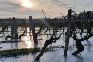 douceur angevine à Saumur