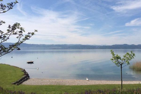 espaces naturels autour de Concise