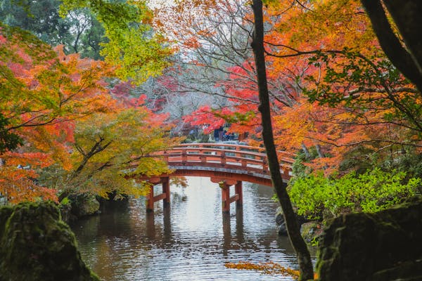 jardin japonais de Dijon