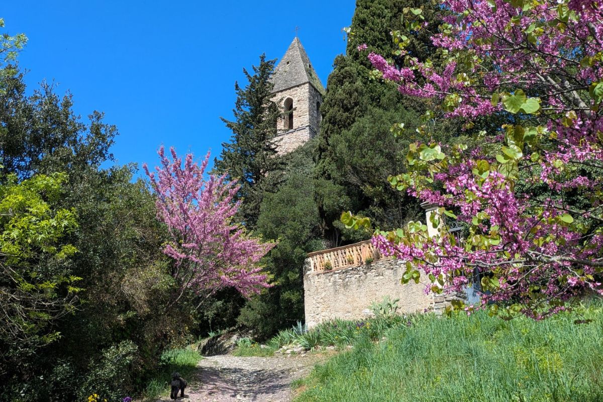 territoires dans le Haut-Languedoc