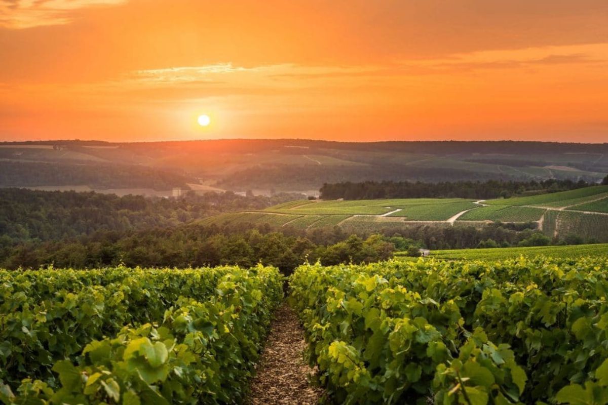 territoires en Champagne