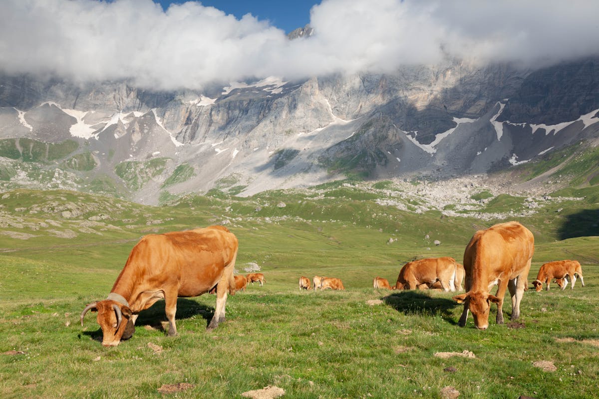 territoires méconnus Occitanie