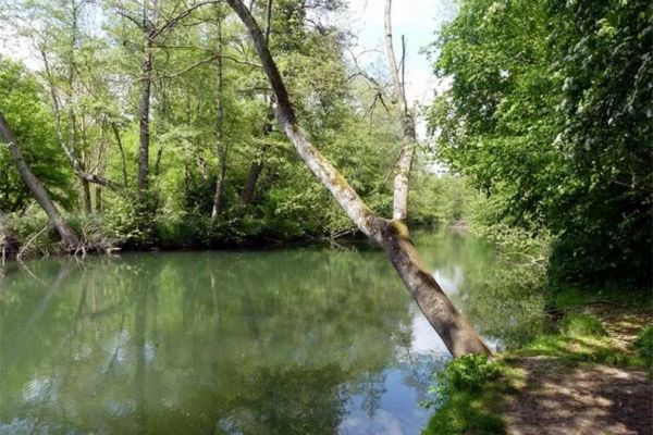 vallée de l’Yerres