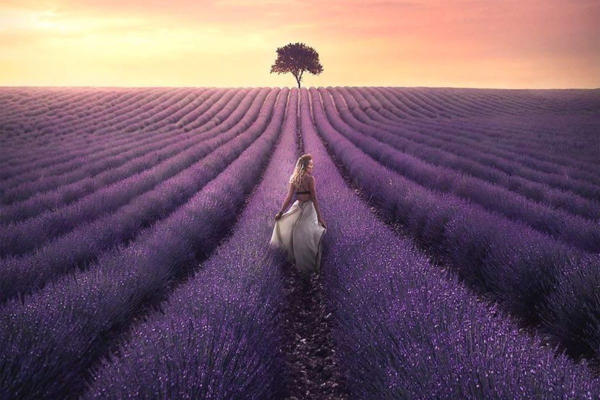 visiter à Valensole